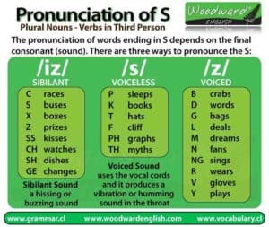 Pronunciation of plural s