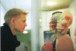 Man looking at an anatomical model - B2 First Speaking Part 2