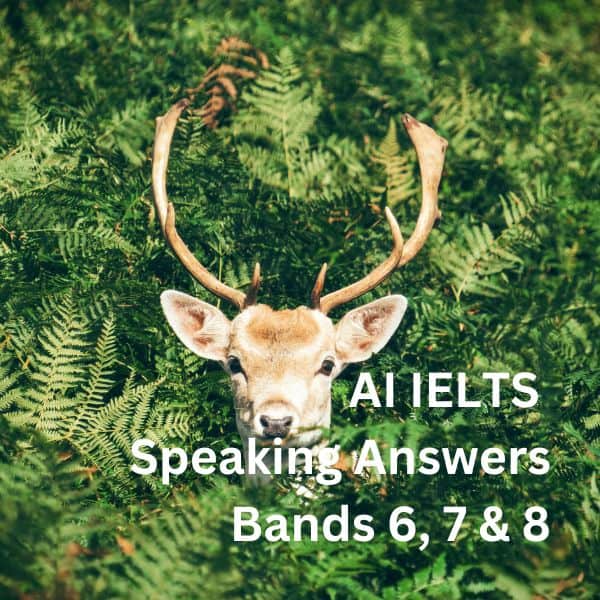 A stag looking out from foliage - Where To See Wildlife / IELTS Speaking Bands 6, 7 & 8